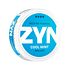 ZYN Cool Mint Mini Dry Strong 2