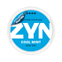 ZYN Cool Mint Mini Dry Strong