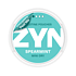 ZYN Spearmint Mini Dry