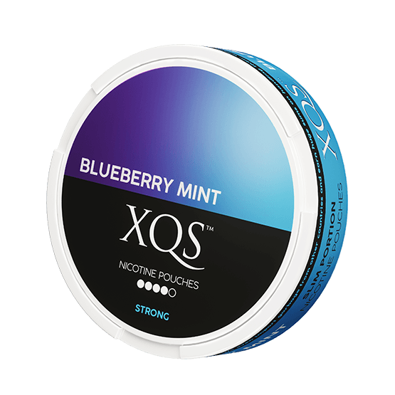 XQS Blueberry Mint Slim