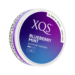 XQS Blueberry Mint