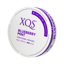 XQS Blueberry Mint Nikotinfritt Snus