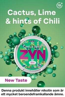 ZYN Cactus Spice