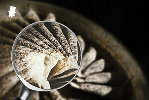 djupdykning i snus ingredienser Nettotobak