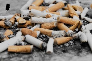 Ny studie: Snuset räddar liv