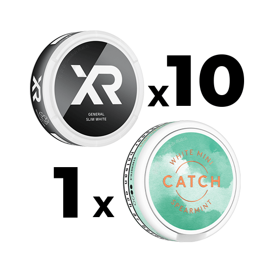 Mixpack 10 XR General Slim White & 1 Catch White Spearmint Mini