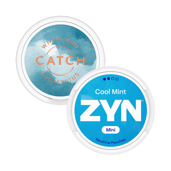 Catch and Zyn Mini Eukalyptus Mint S2 2-pack