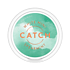 Catch Spearmint Mini